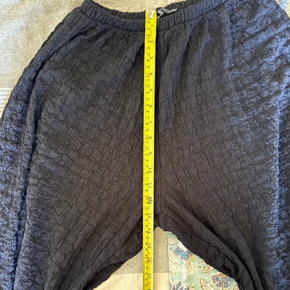 Zara Crinkle Cuff Balloon Pants - Picture 8 of 9